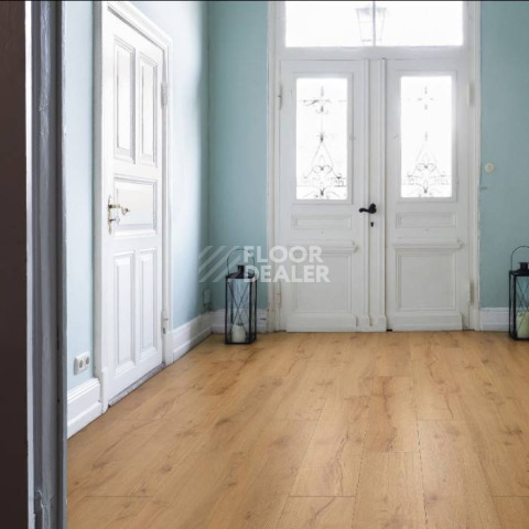 Haro Tritty 100 Campus 4V АЛЬПИЙСКИЙ ДУБ НАТУРАЛЬНЫЙ 532063 фото 2 | FLOORDEALER